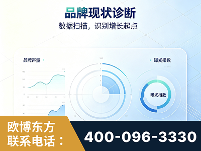 隆昌-品牌现状诊断