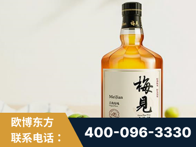 隆昌-梅见青梅酒